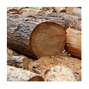 Isolation - Fibre de bois - Isonat